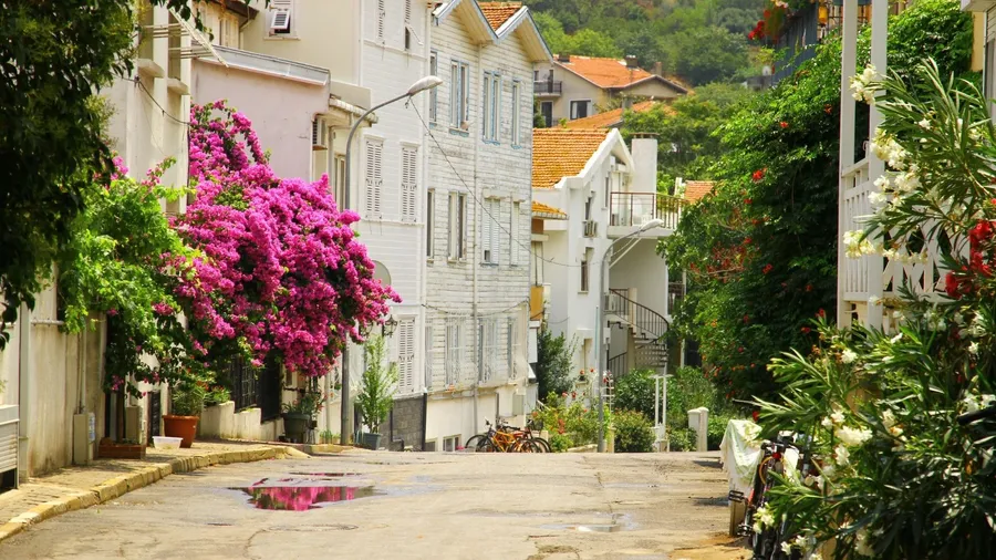Prens Adaları Rotası